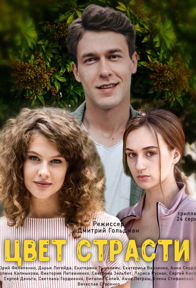 The color of passion series poster