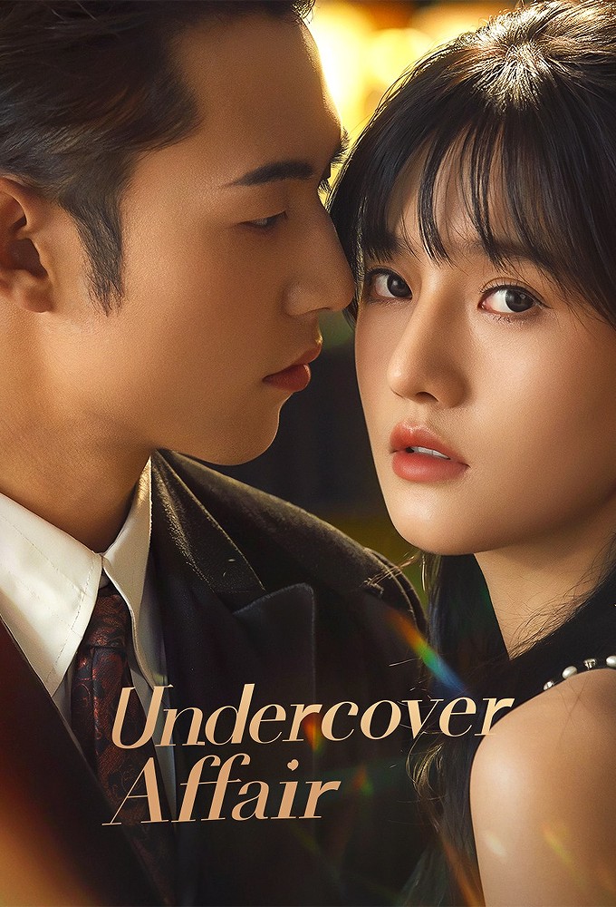 Undercover Affair Image