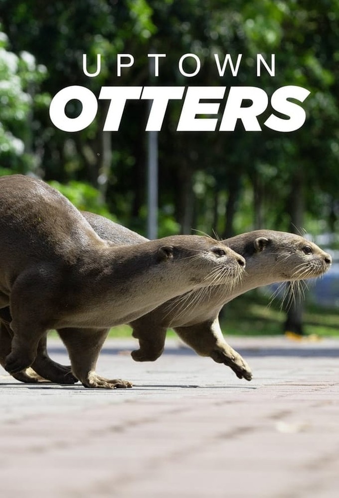 Uptown Otters series poster