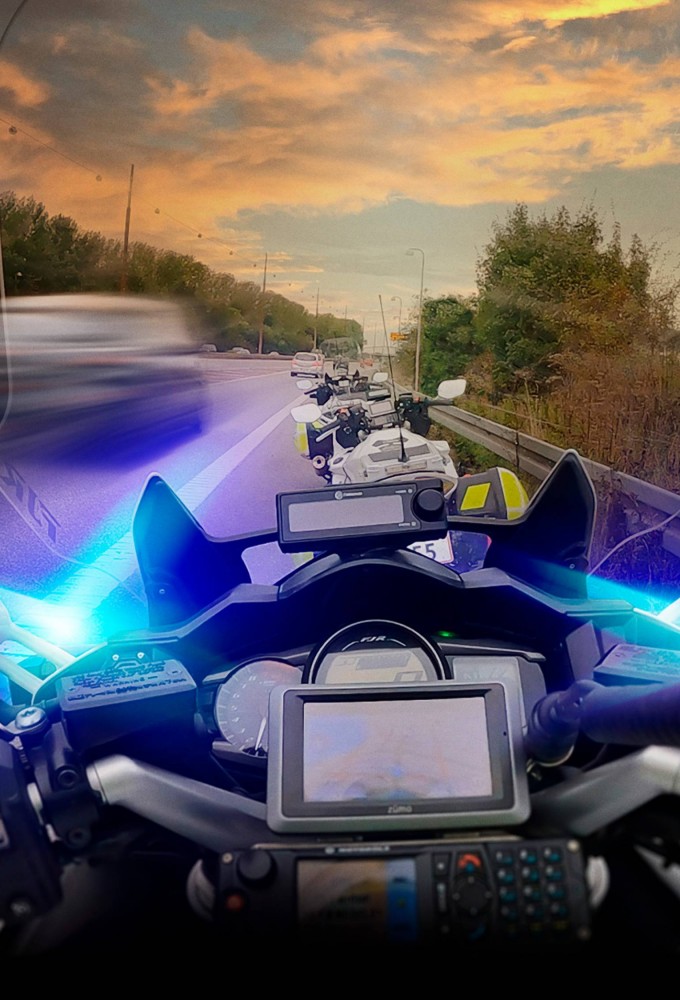 Vanvidsbilisterne series poster