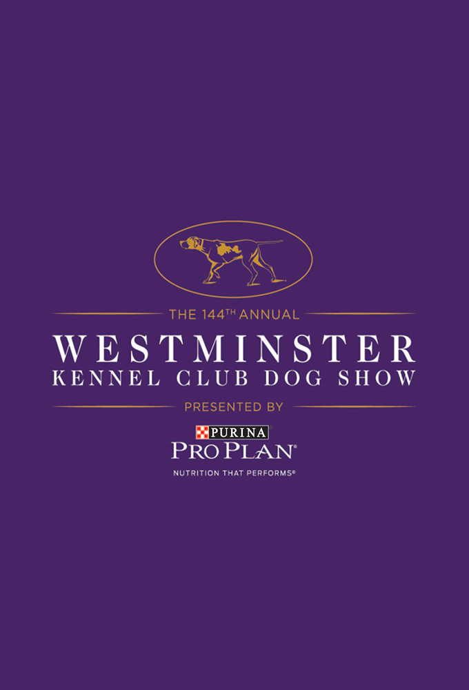 Westminster Kennel Club Dog Show Image