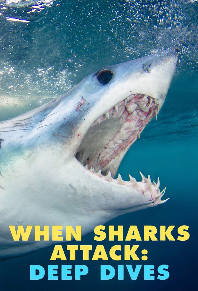 When Sharks Attack: Deep Dives Image