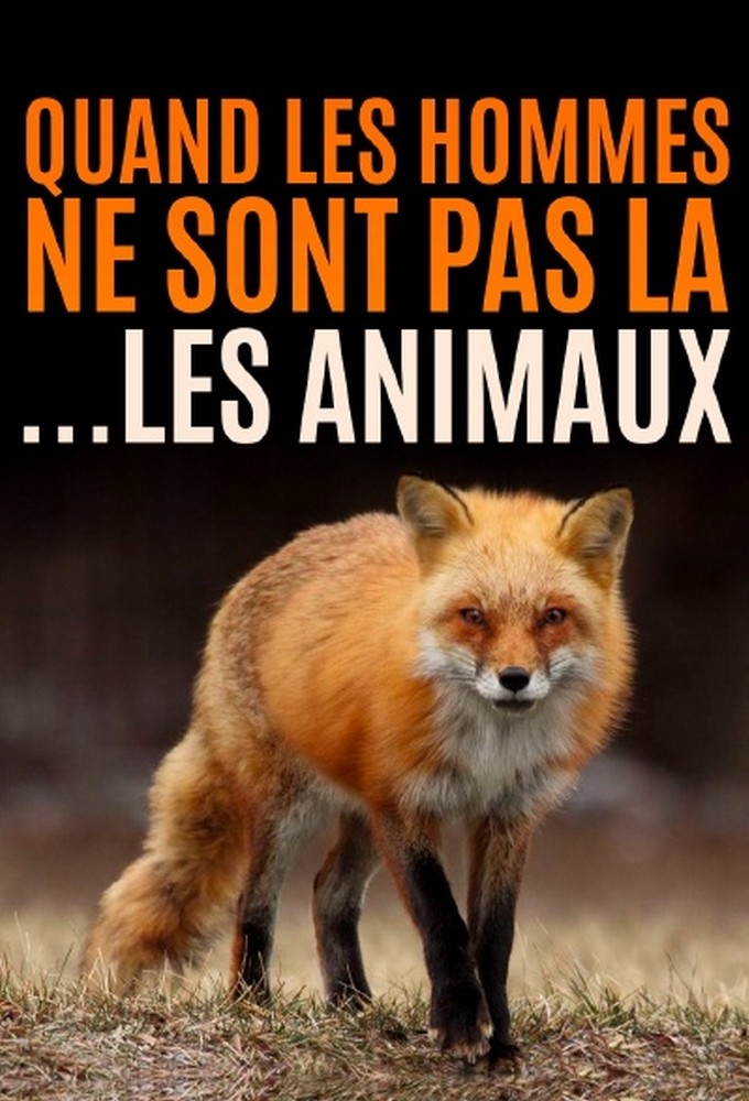 When the man is not there the animals dance! series poster