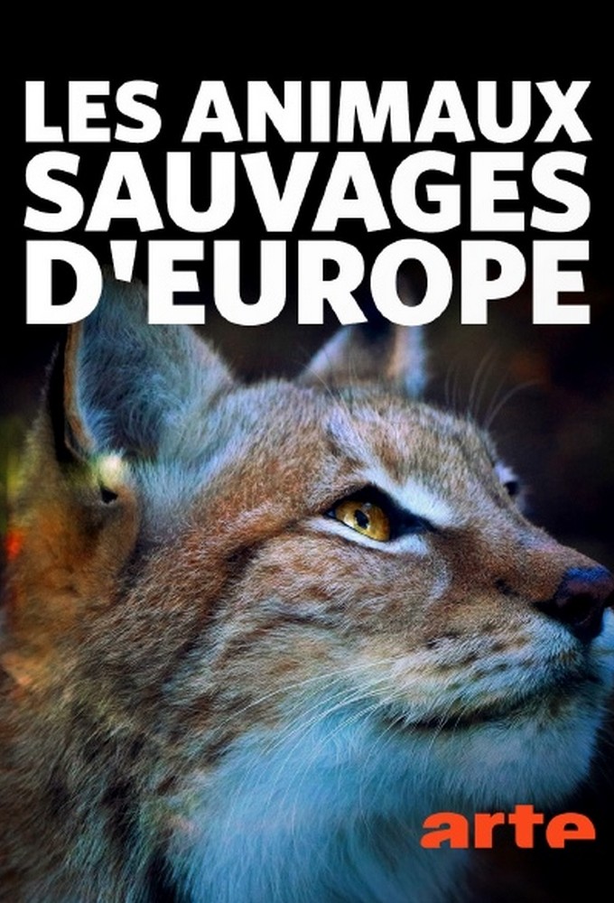 Wildnis Europa Image