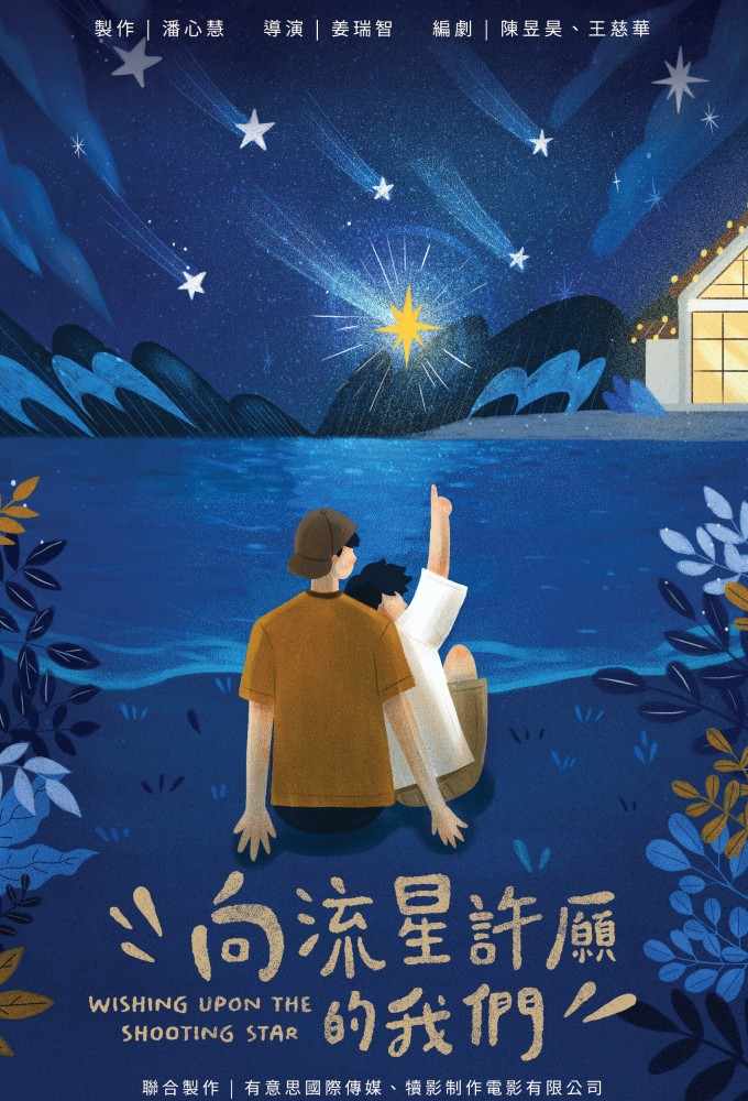 Wishing Upon the Shooting Stars Image