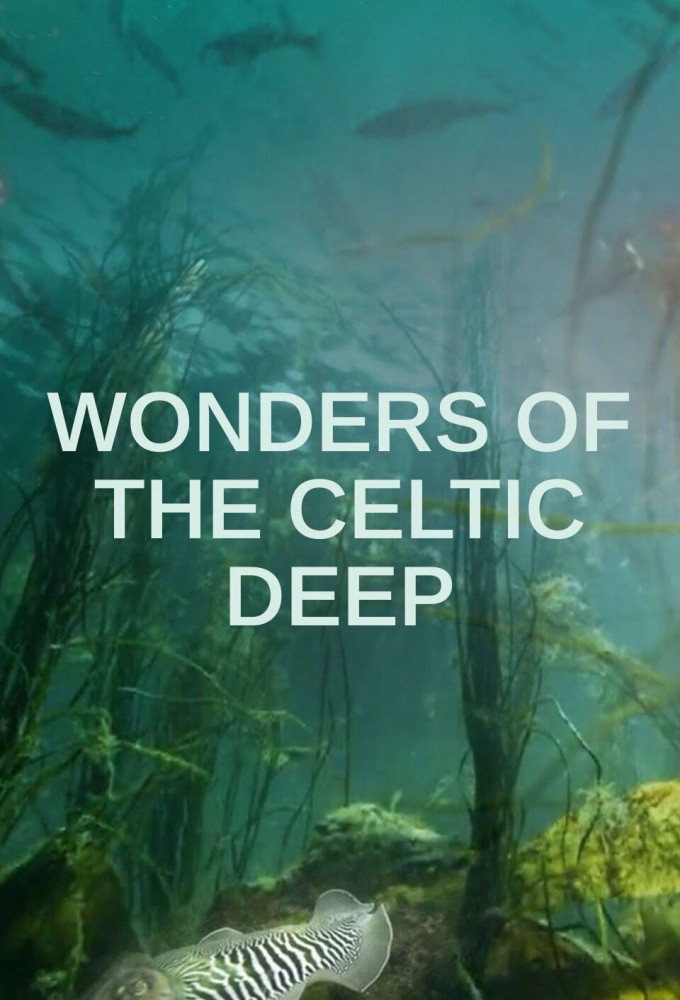 Wonders of the Celtic Deep Image