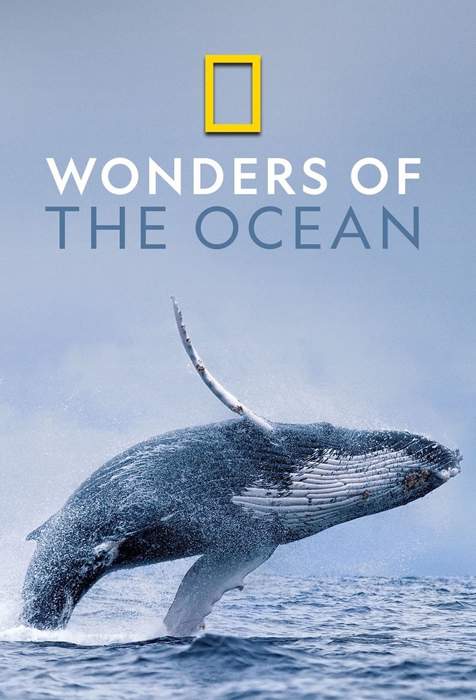 Wonders of the Ocean series poster