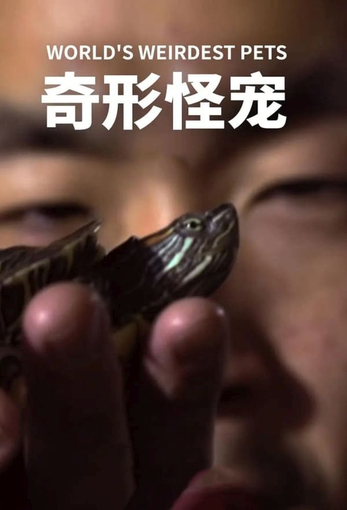 World's Weirdest: Pets series poster