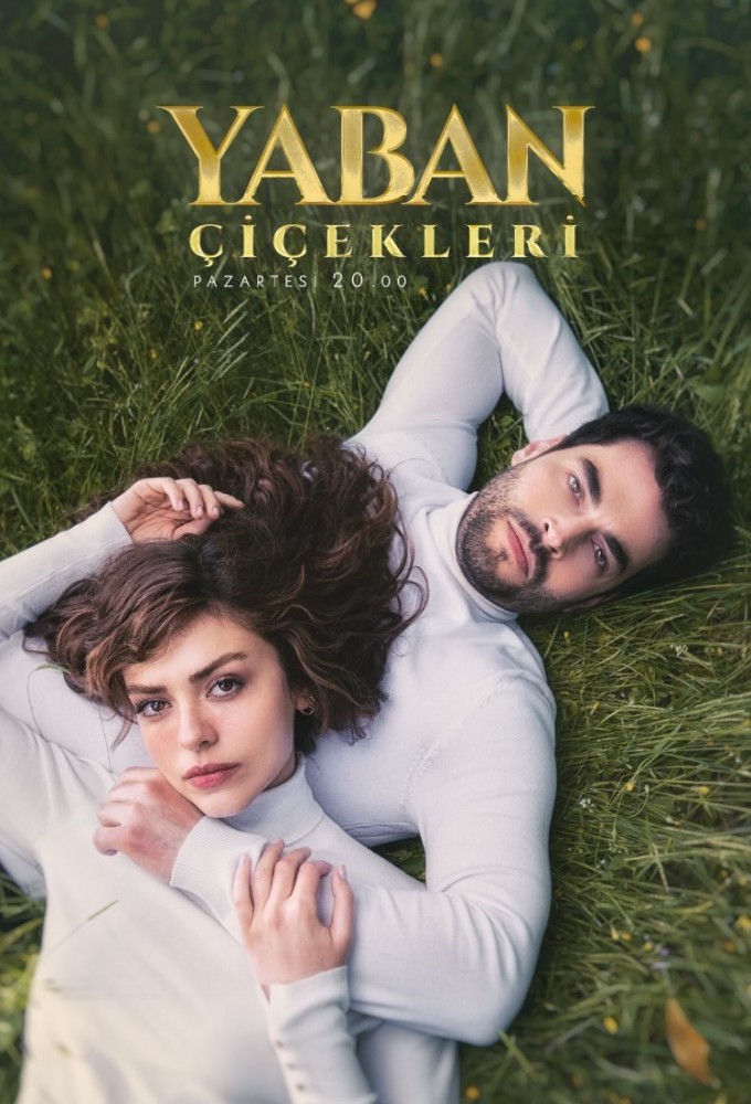 Love in Pieces Image