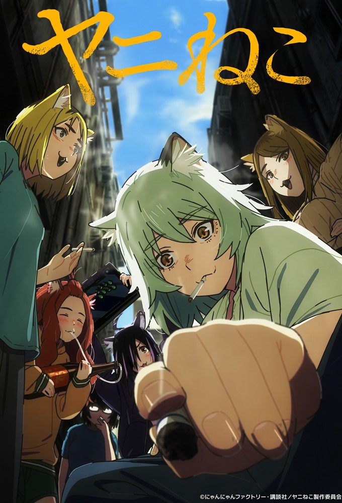 Chainsmoker Cat Image