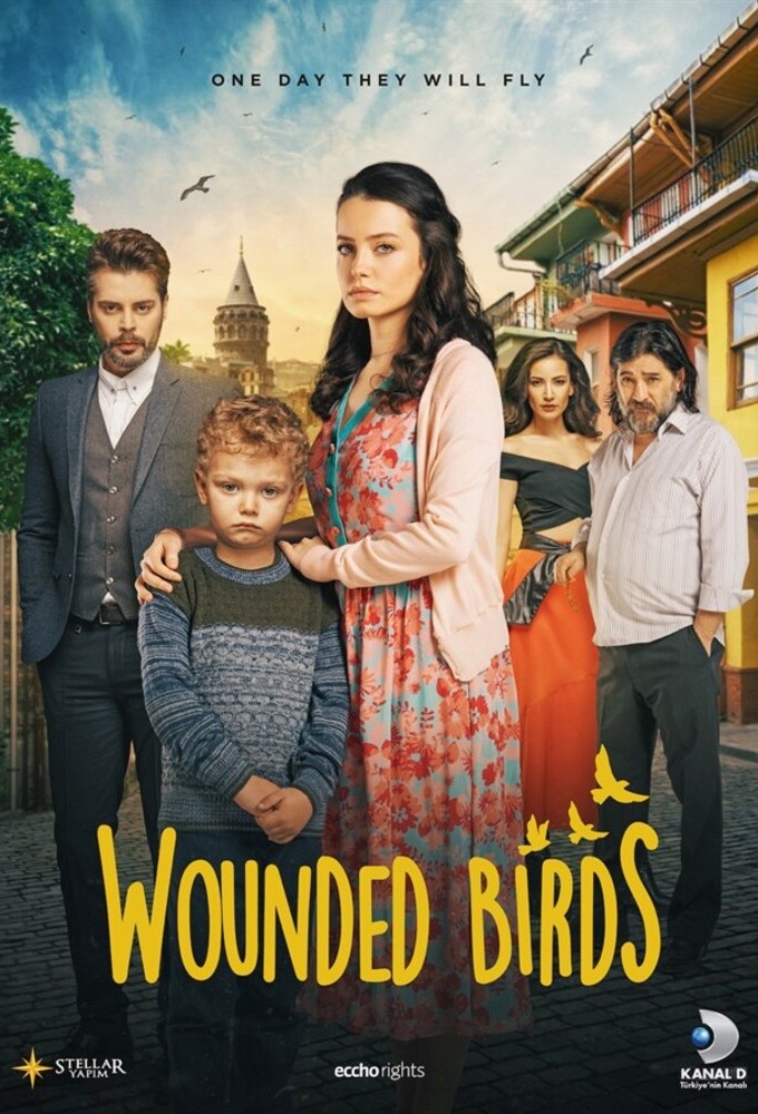 Wounded Birds series poster