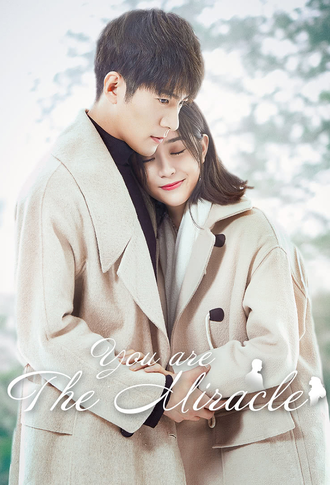 You Are the Miracle series poster