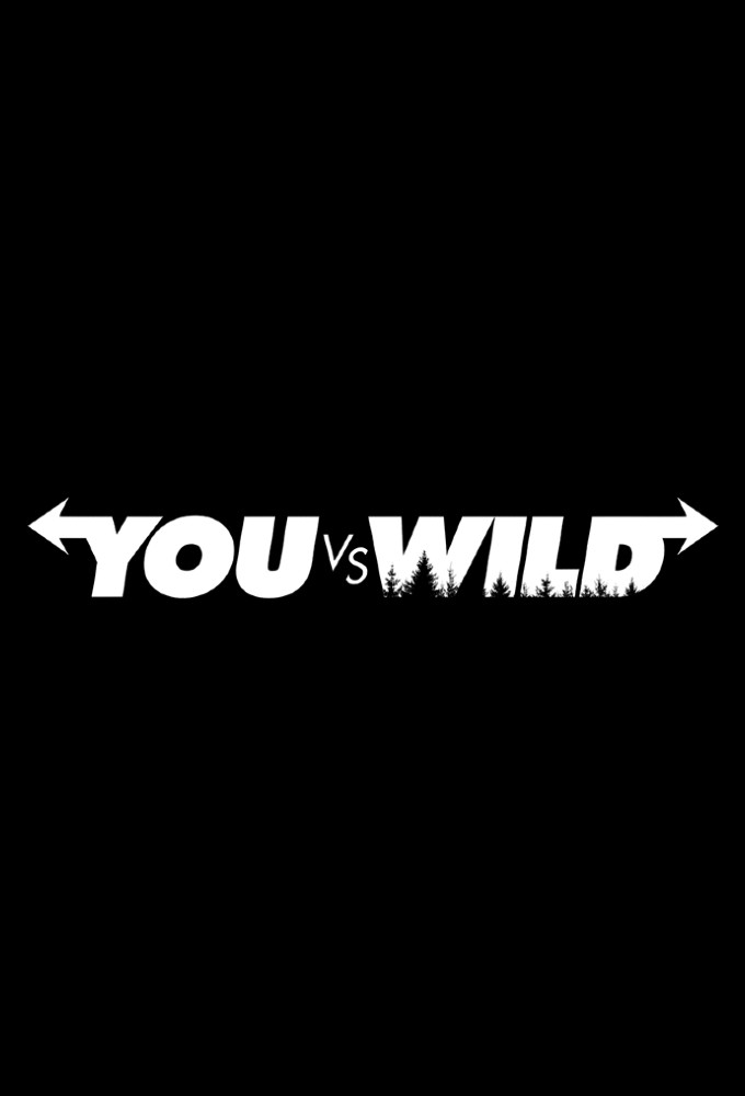 You vs. Wild Image