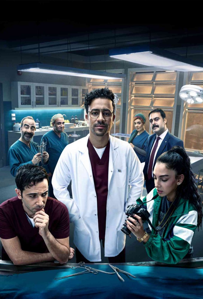 Zienhom series poster