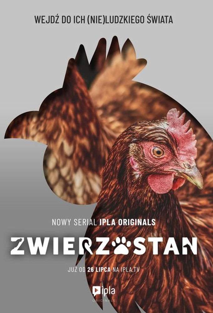 Livestock series poster