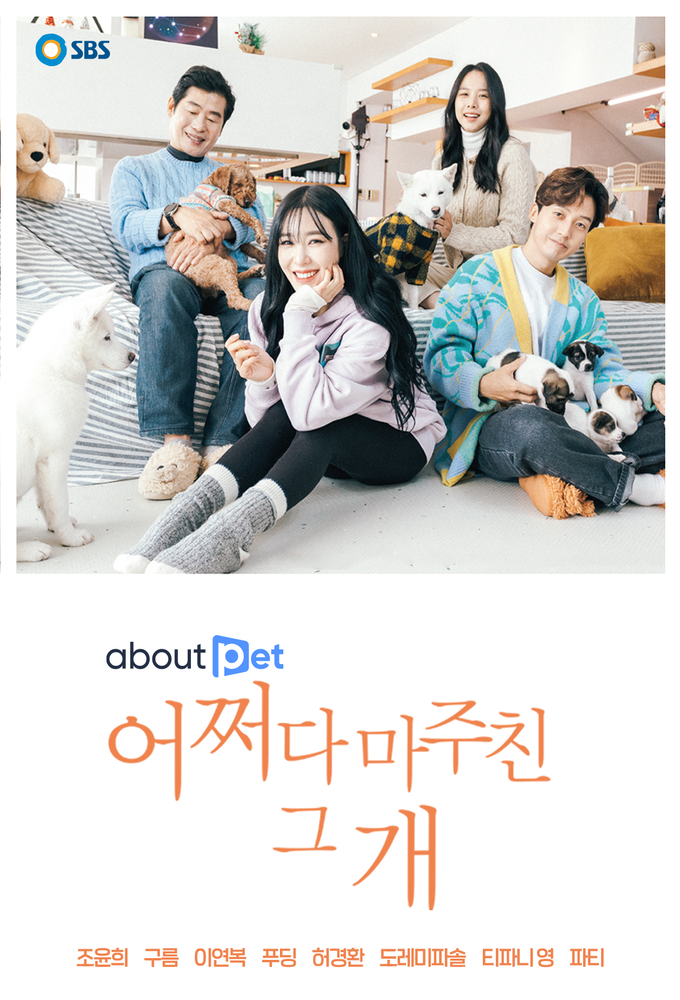 어쩌다 마주친 그 개 Image