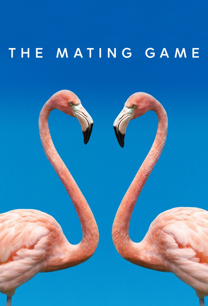 The Mating Game (2021) Image