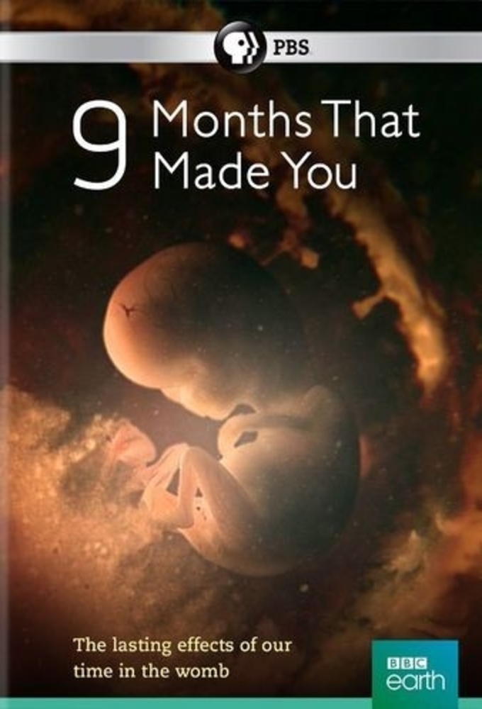 9 Months That Made You Image