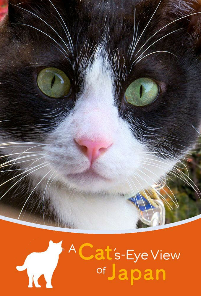 A Cat's-Eye View of Japan Image