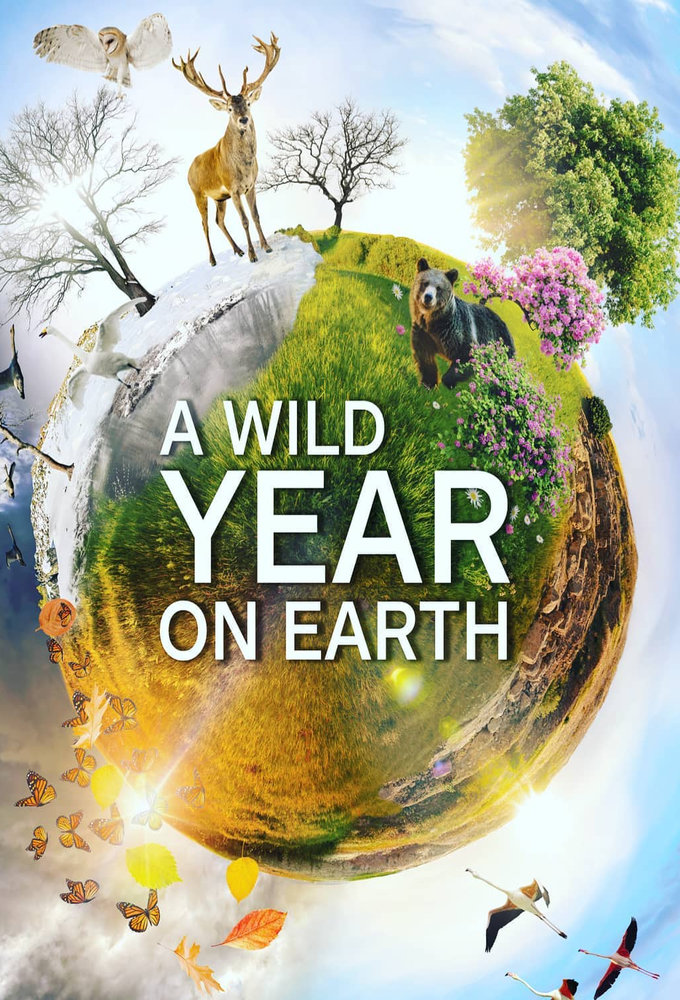 A Wild Year On Earth Image