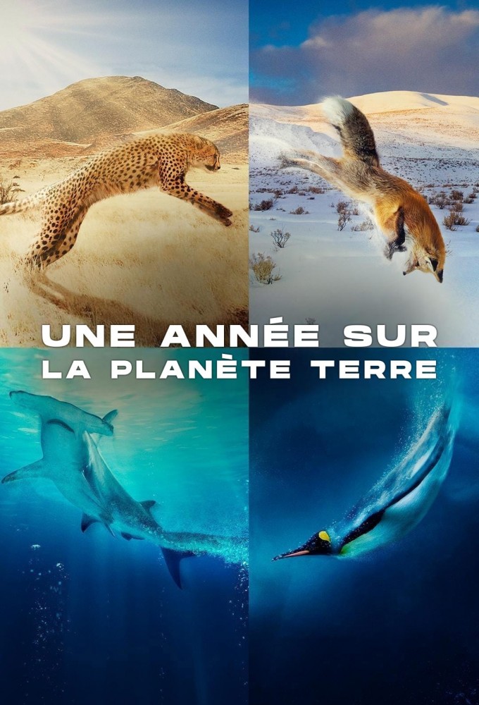 A Year on Planet Earth Image