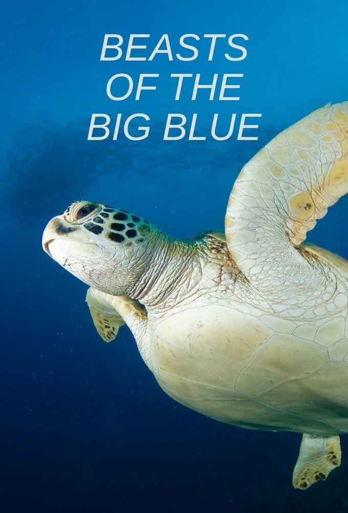 Beasts of the Big Blue Image