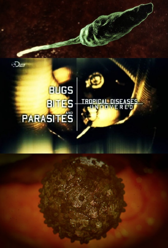 Bugs, Bites And Parasites Image