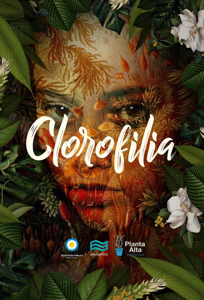 Clorofilia Image