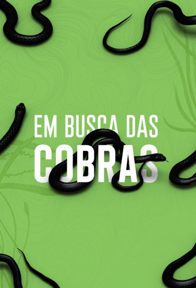 Em Busca das Cobras Image