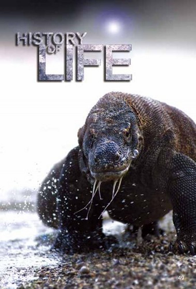 History Of Life: A Study In Evolution Image