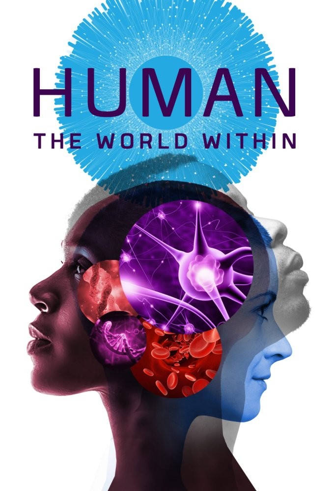 Human: The World Within Image
