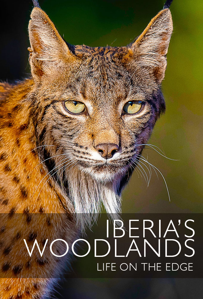 Iberia's Woodlands: Life on the Edge Image