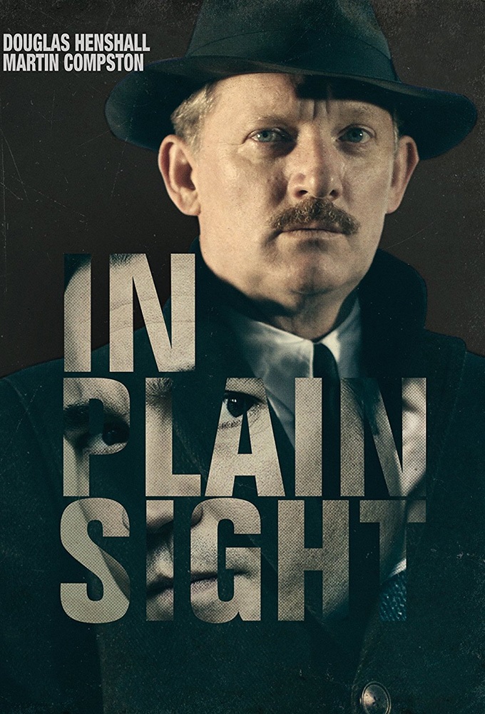 In Plain Sight (2016) Image