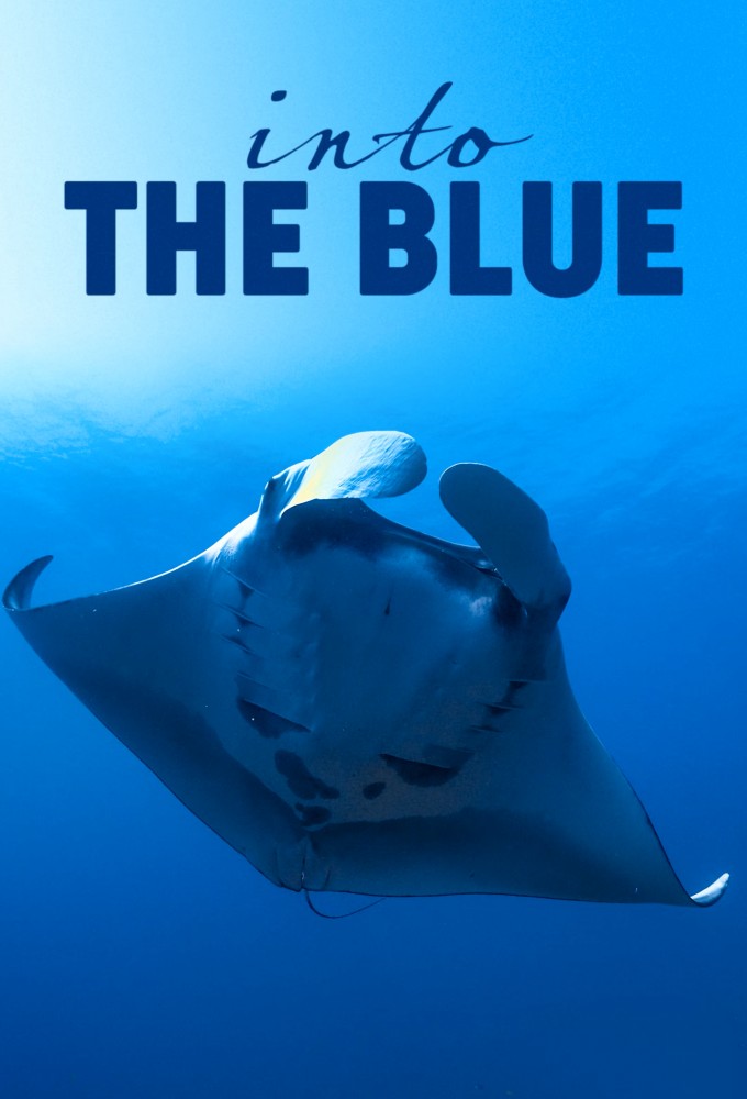 INTO THE BLUE: The Wonders of the Coral Triangle Image