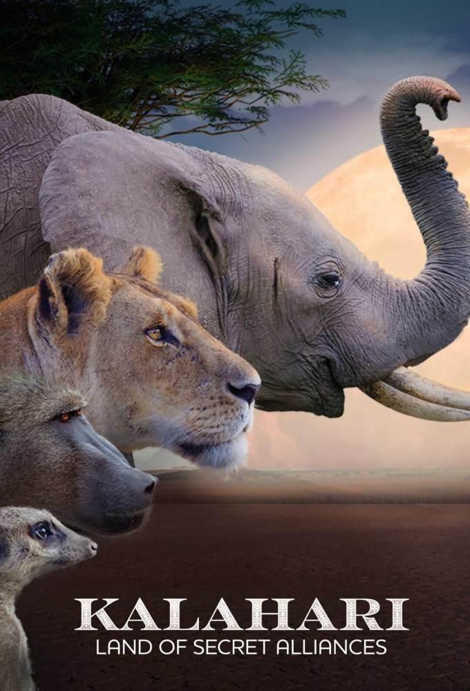 Kalahari: Land of Secret Alliances Image