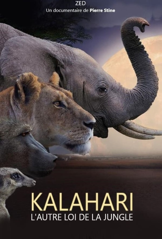 Kalahari, l'autre loi de la jungle Image