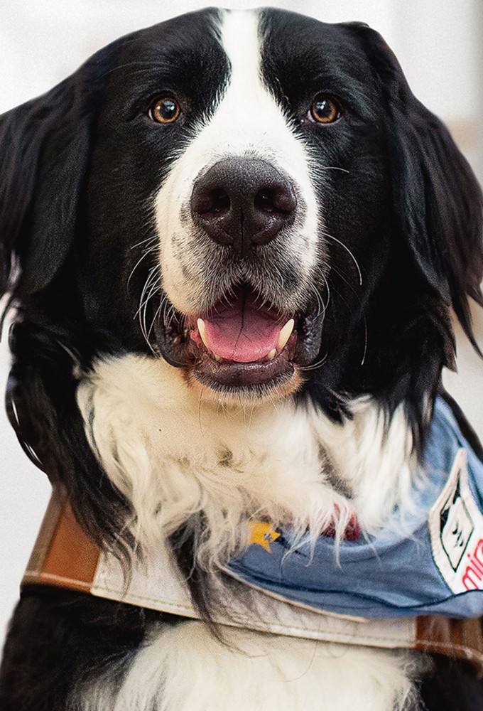 Les diplômés MIRA Image