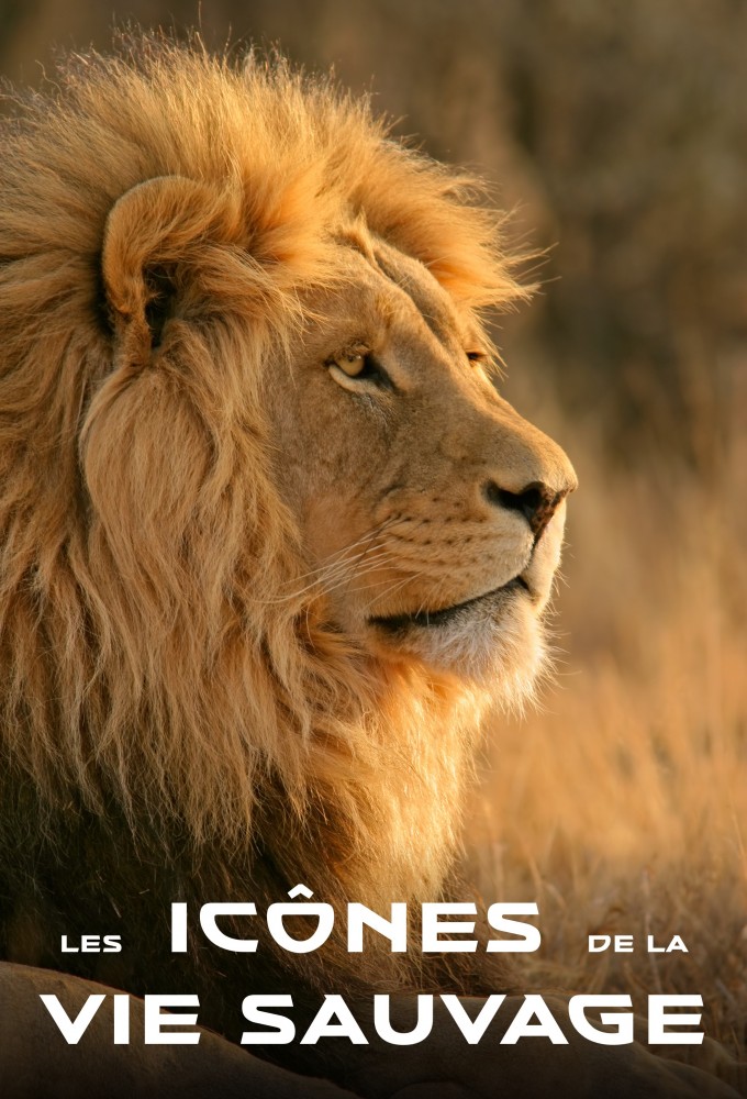 Les icônes de la vie sauvage Image