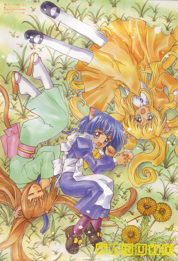 Magical Meow Meow Taruto Image