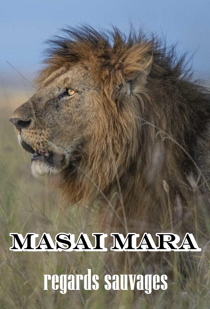 Masaï Mara, regards sauvages Image