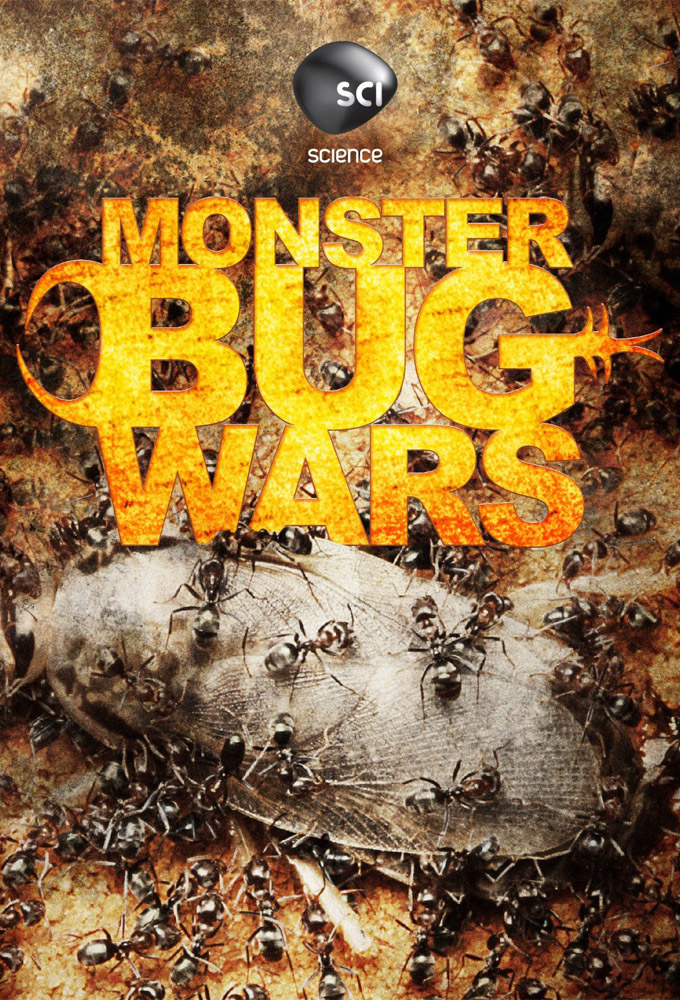 Monster Bug Wars! Image