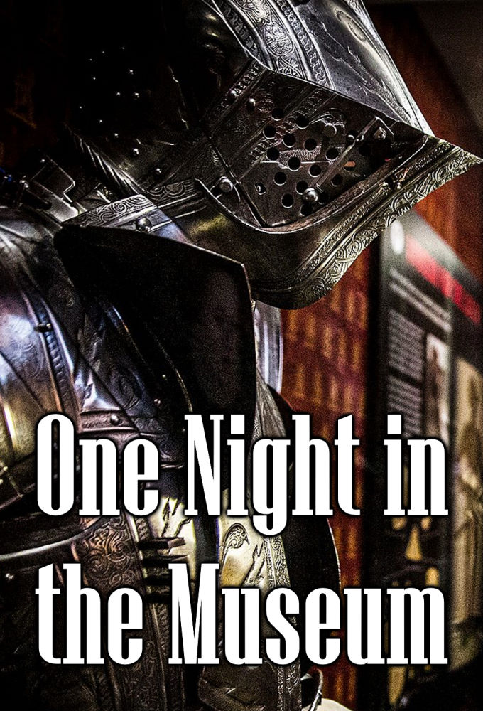 One Night in the Museum Image