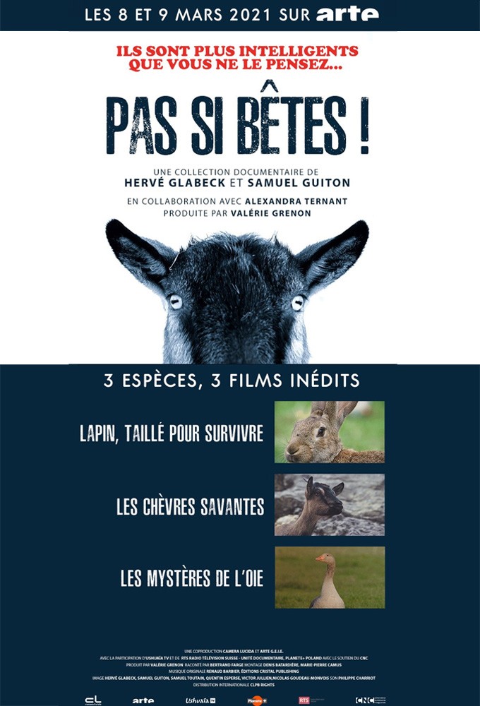 Pas si bêtes! Image