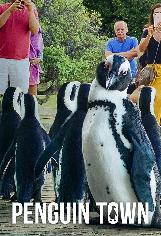 Penguin Town Image