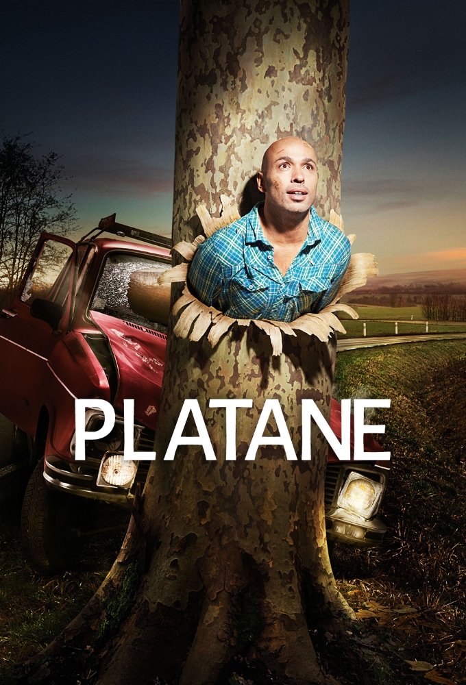 Platane Image