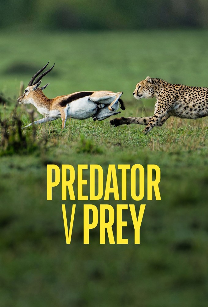 Predator v Prey Image