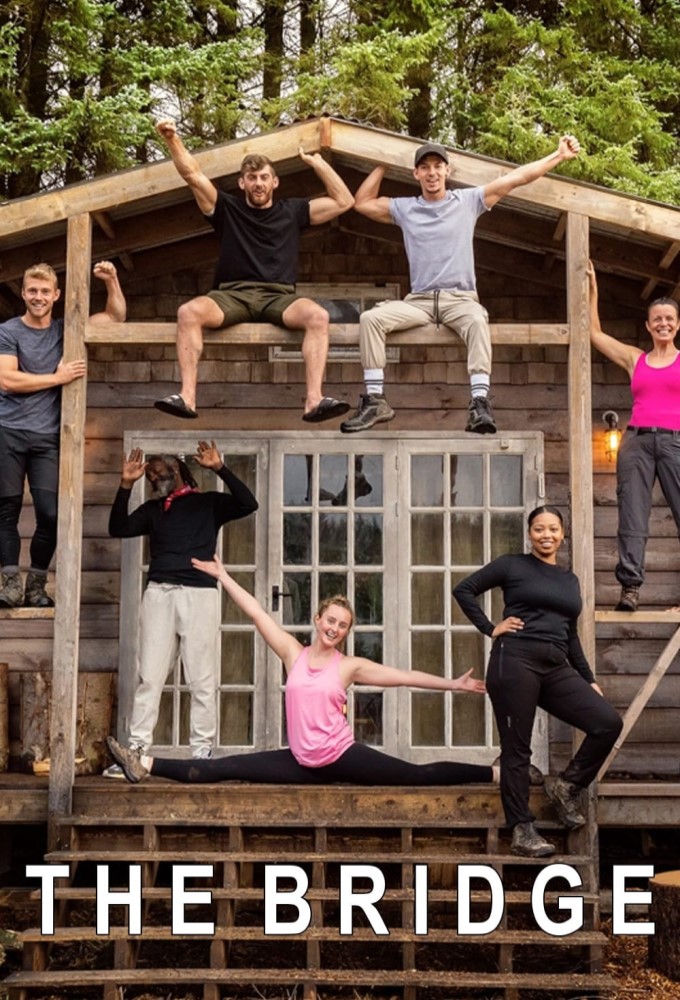 The Bridge (UK) Image