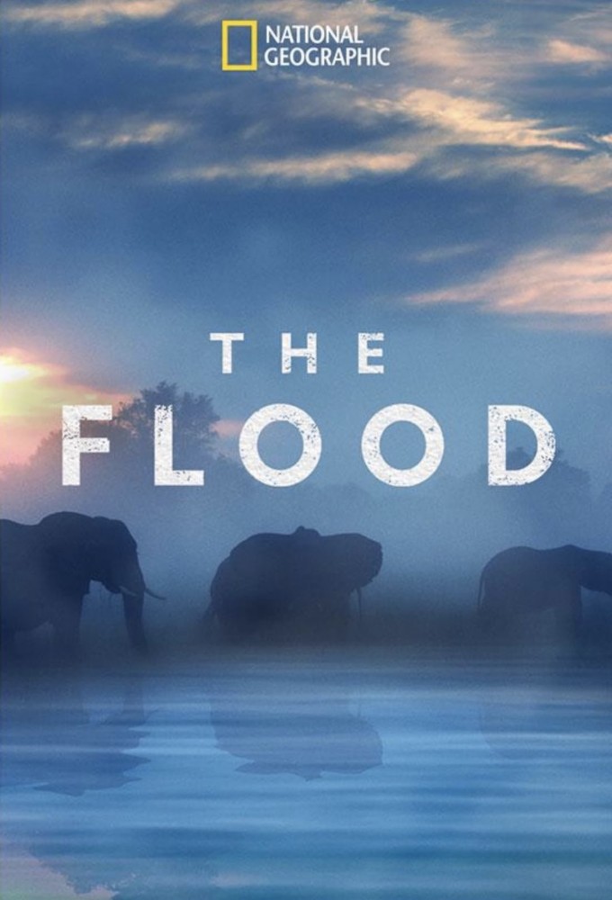 The Flood (2018) Image