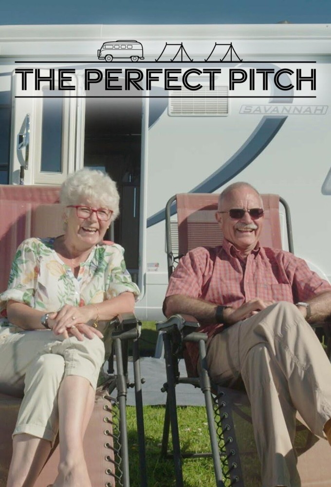 The Perfect Pitch Image