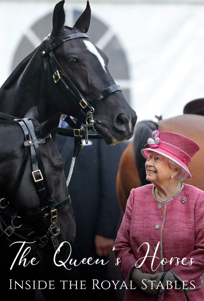 The Queen's Horses: Inside the Royal Stables Image